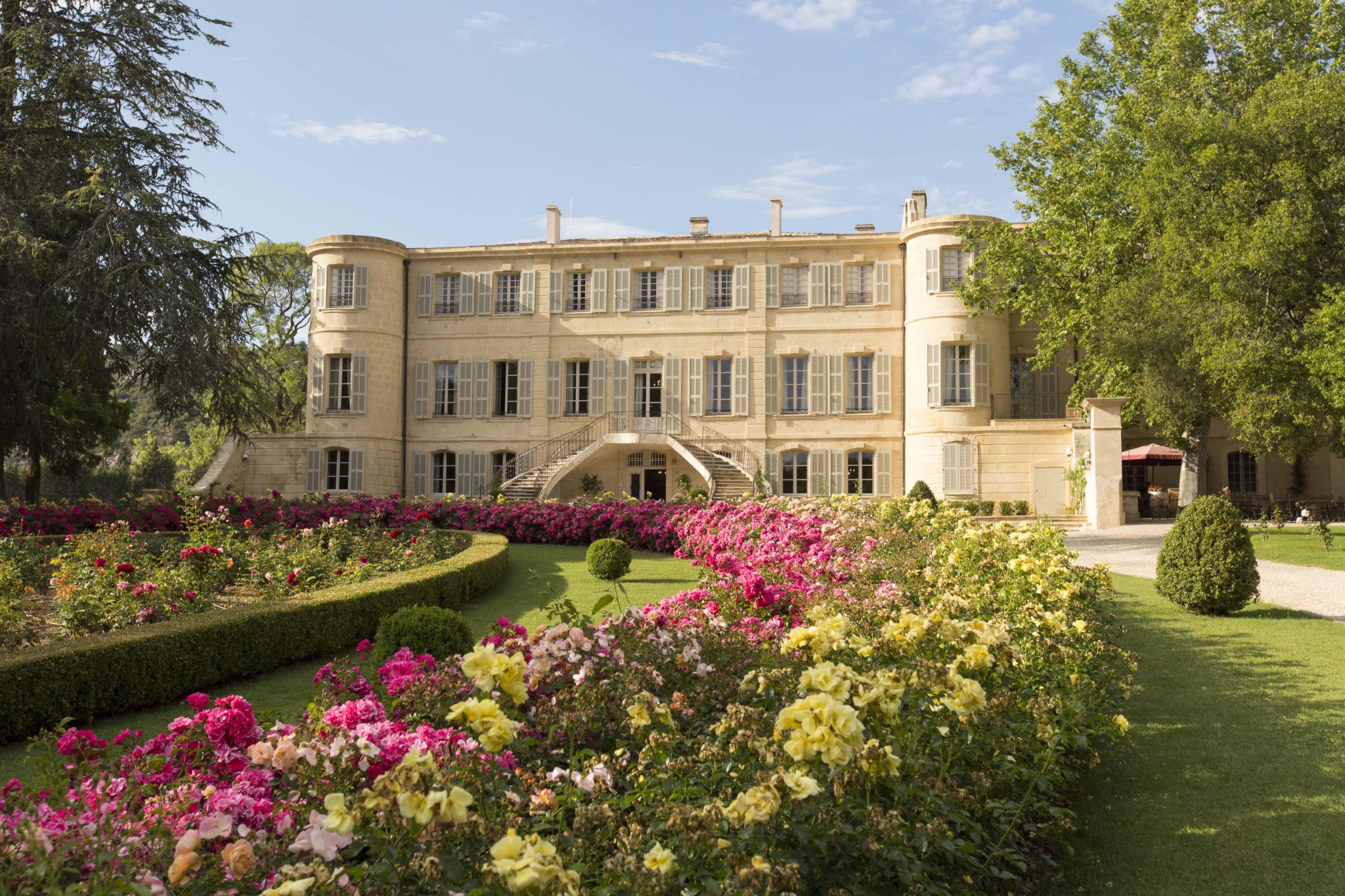Huile d'Olive Ail 20cl – Château d'Estoublon